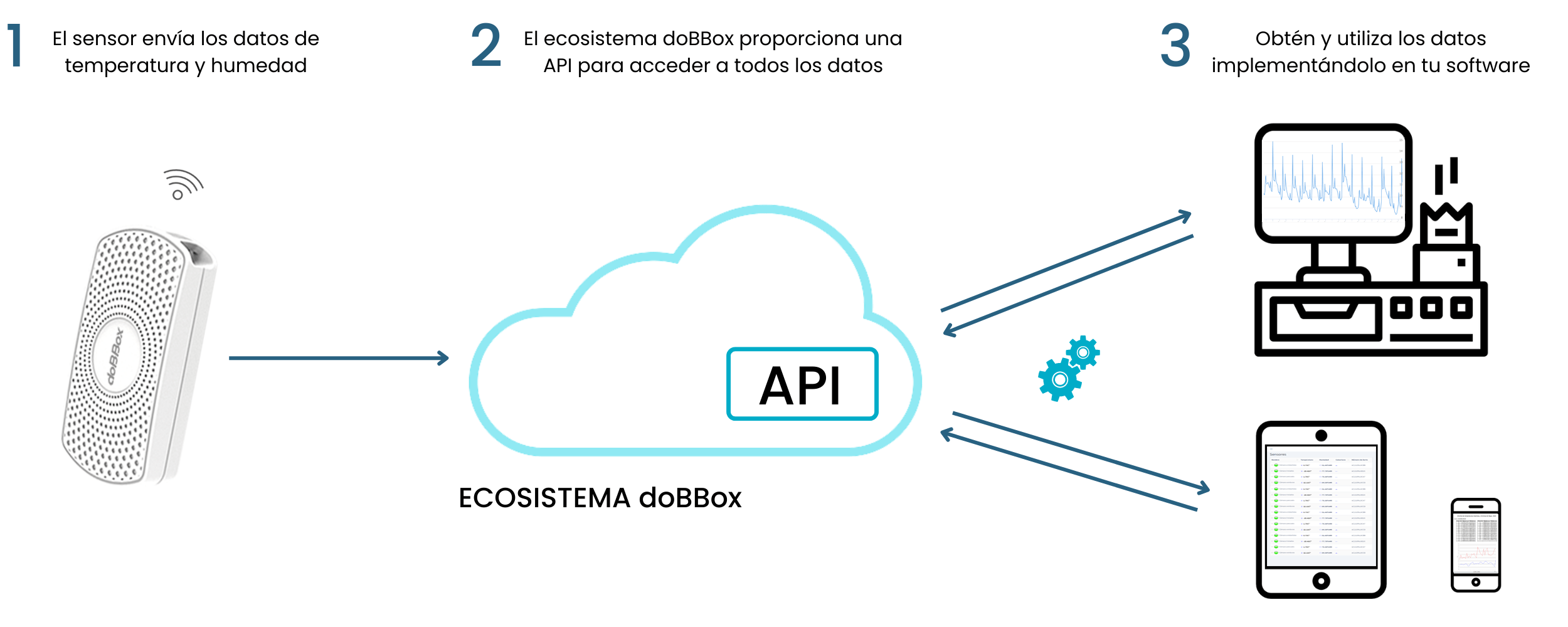 ecosistema-dobbox