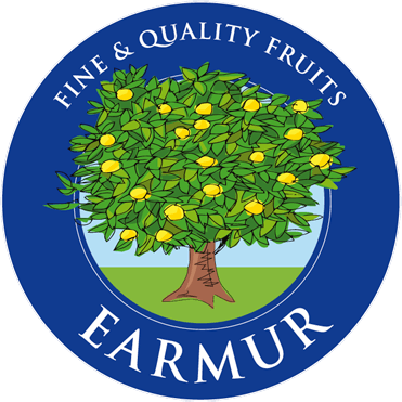 Logos clientes earmur